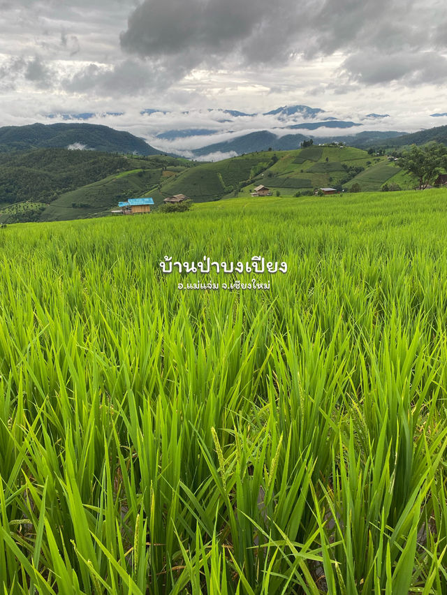 14 พิกัดเที่ยวภาคเหนือ | ฤดูฝน 🏡⛰️🌧️🌳