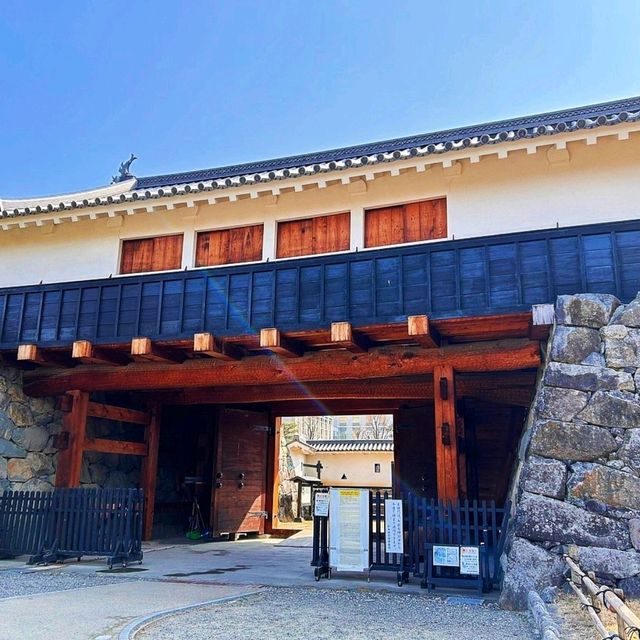 Visit Miyajima Island