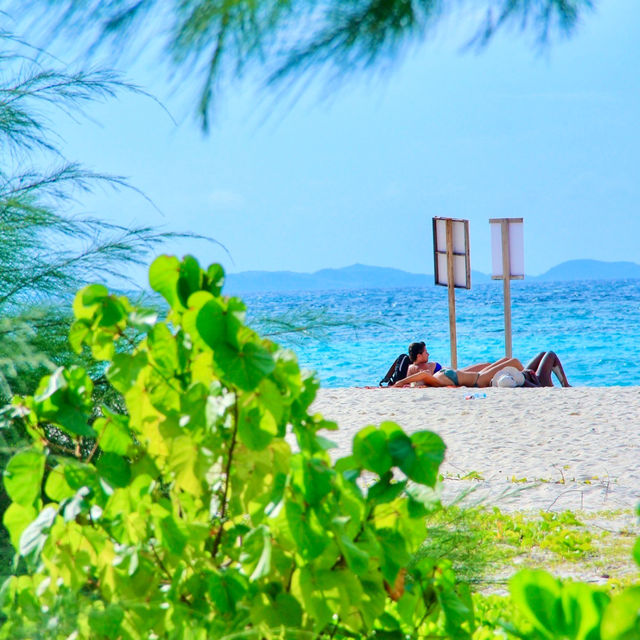 Embracing Island Bliss: Beach Life on Phi Phi Island