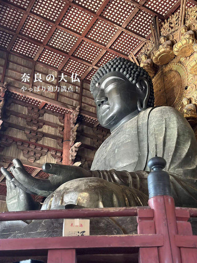 【保存版🔖】奈良旅の王道スポット3選👑1日で巡るプラン付き🗓️‼️