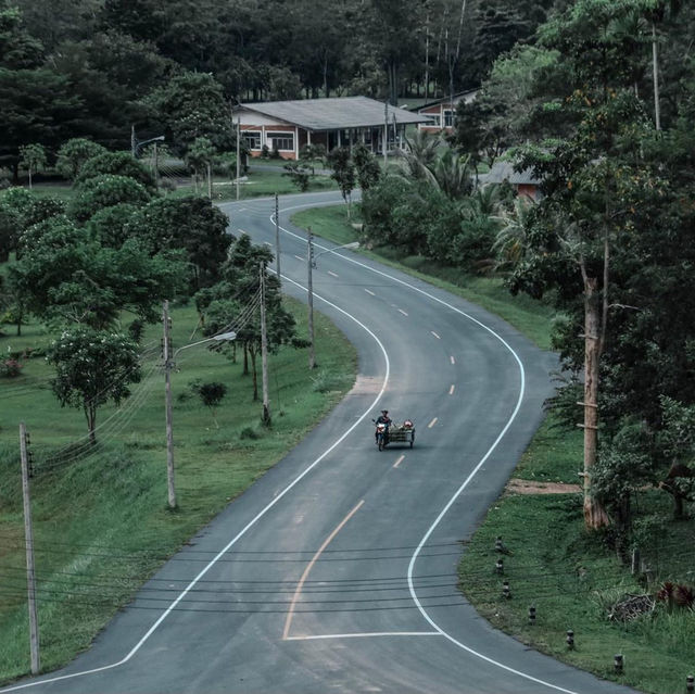 ชุมชน #บ้านตะโหมด จ.พัทลุง
