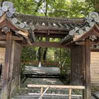 みたらし祭り・下鴨神社（2024.7）