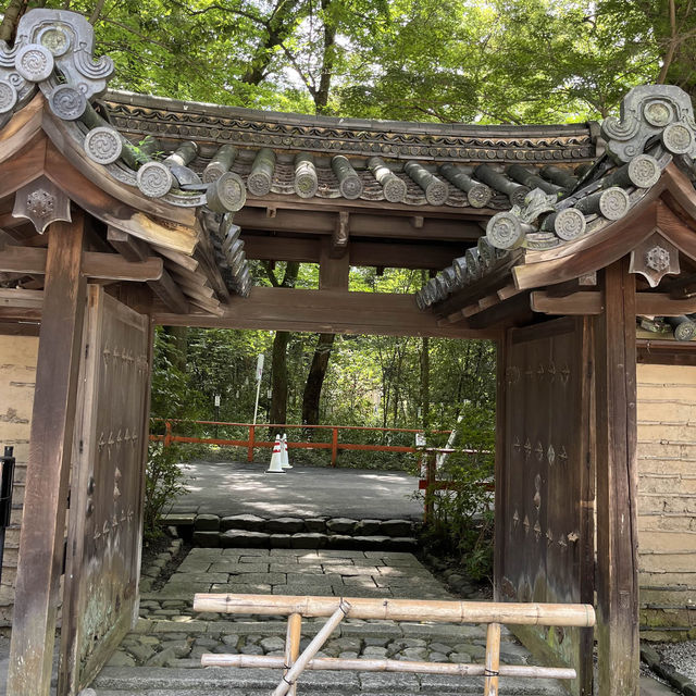 みたらし祭り・下鴨神社（2024.7）