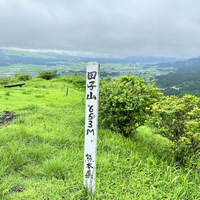 🇯🇵 九州阿蘇 高山秘景 ☁️🌳 宮崎駿風 ✨ 🇯🇵 九州阿蘇 高山秘景 ☁️🌳 宮崎駿風 ✨