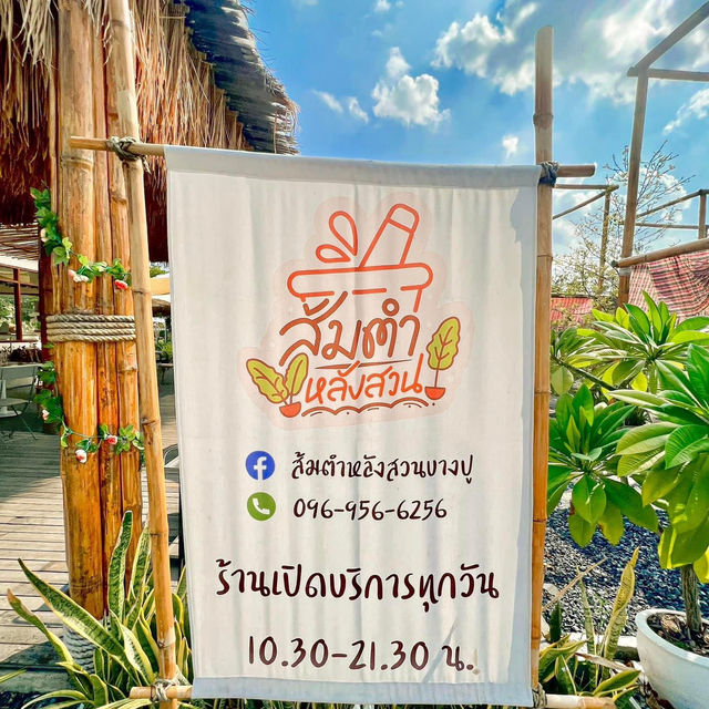 เพลินคาเฟ่ คาเฟ่บางปู