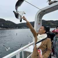 🌟 Unforgettable Moments in Amanohashidate, Kyoto 🇯🇵 