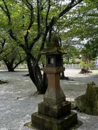 【福岡神社】月に2度変わる花手水が美しい大人気の神社
