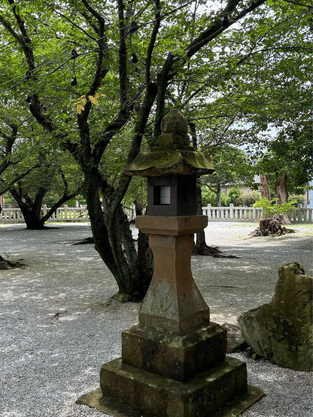 【福岡神社】月に2度変わる花手水が美しい大人気の神社