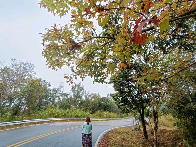พระบรมธาตุศรีนครินฯ ดอยแม่สลอง