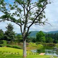 BU•CO•LIC Khaoyai - คาเฟ่วิวหลักล้าน