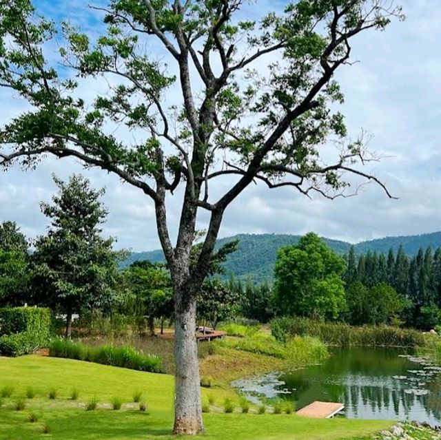 BU•CO•LIC Khaoyai - คาเฟ่วิวหลักล้าน