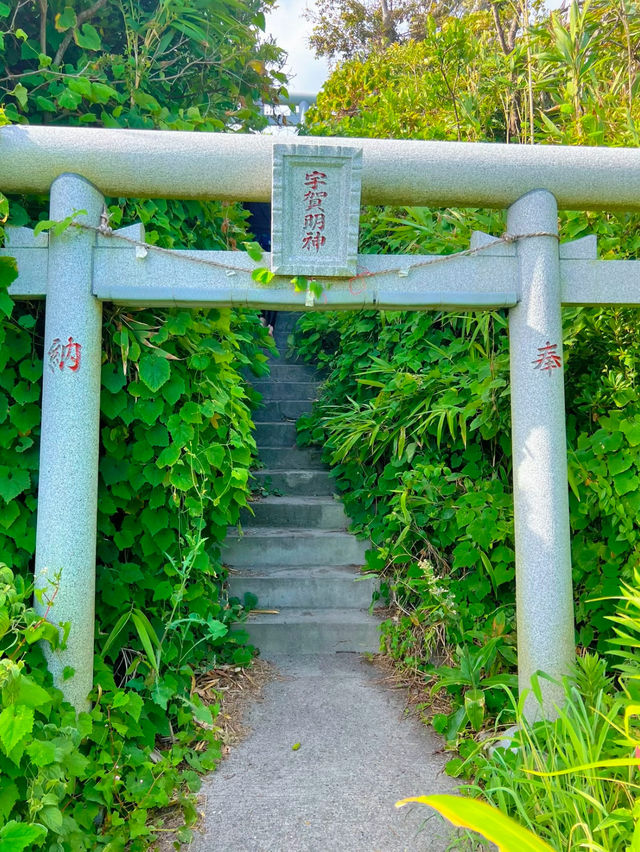 【千葉】東京から90分!!歩いて渡れる無人島で夏を楽しむ🌞🌴🌺✨