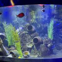 Aquarium Vinpreal Nha Trang