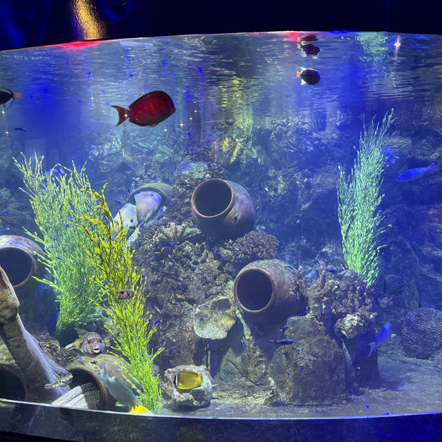 Aquarium Vinpreal Nha Trang