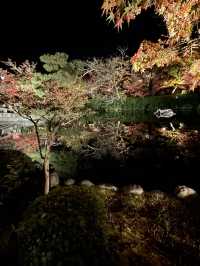 〜京都府〜紅葉の名所永観堂(えいかんどう)