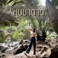 สถานที่สุด Unseen  “หุบป่าตาด” จ.อุทัยธานี