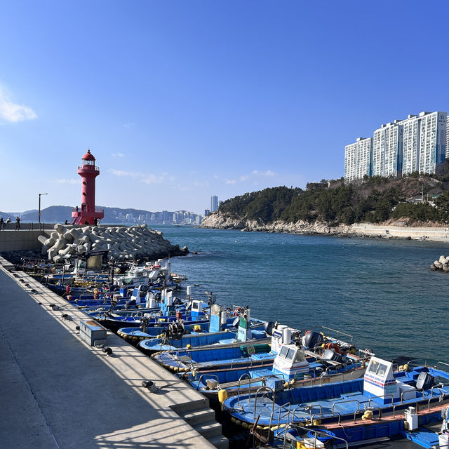 🇰🇷釜山✈️影島海女村영도해녀촌