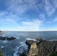 Mesmerizing March of the Penguins: A Phillip Island Adventure