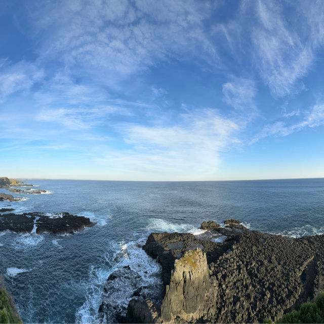 Mesmerizing March of the Penguins: A Phillip Island Adventure
