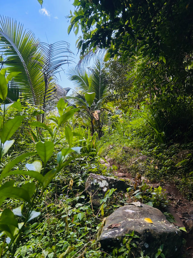 Sekumpul waterfall Bali
