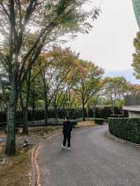 พาชมสถาปัตสวยๆที่ The National Art Center Tokyo🎌