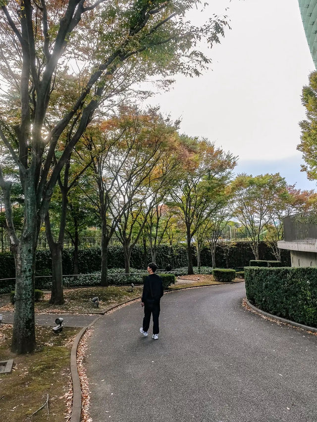 พาชมสถาปัตสวยๆที่ The National Art Center Tokyo🎌