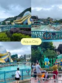 10 ไฮไลท์ในสวนสนุกระดับโลก Ocean Park HongKong 🎠