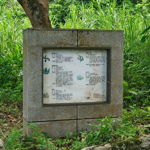 花蓮-重光部落（親水白豹溪）