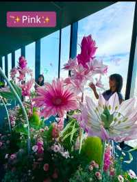 〜東京都〜室内でお花見空中散歩！Flower view🌸