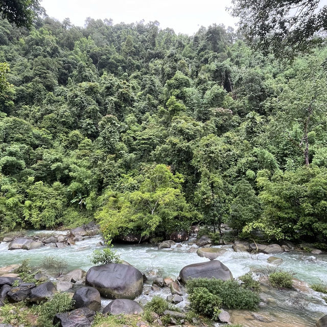 Khao Sok National Park