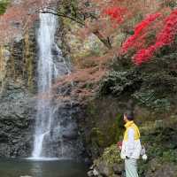 Awesomely beautiful of Minoo in Osaka