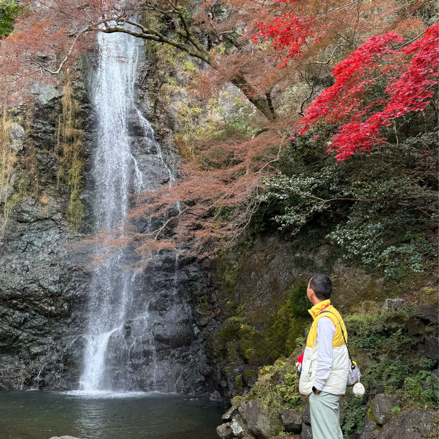 Awesomely beautiful of Minoo in Osaka