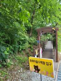 어른이도 좋아할 원주 동화마을 수목원