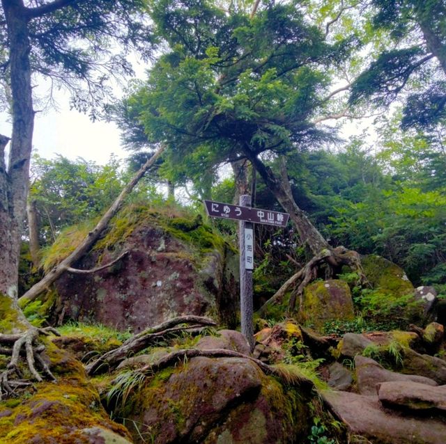 長野県　北八ヶ岳　にゅう