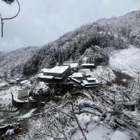 Jigokudani (Snow) Monkey Park ดูน้องลิงแช่ออนเซ็น🐵