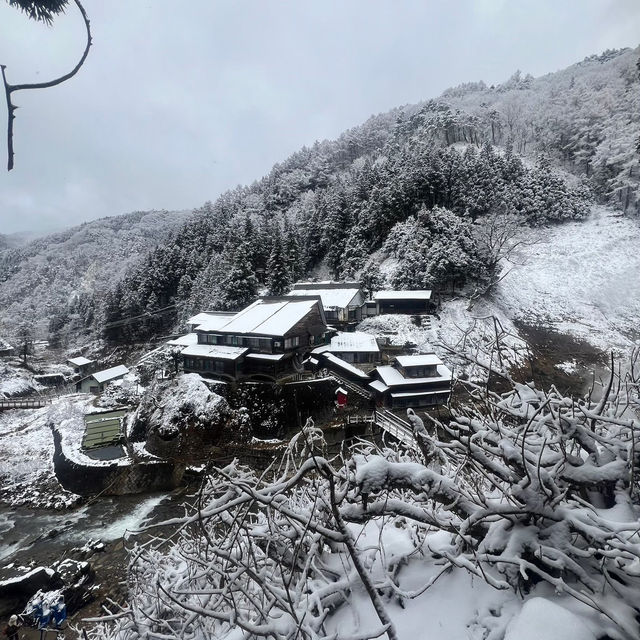 Jigokudani (Snow) Monkey Park ดูน้องลิงแช่ออนเซ็น🐵