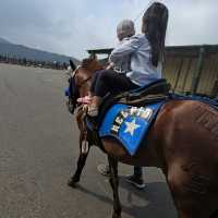 Bandung With View : Tangkuban Perahu : Horse Ride