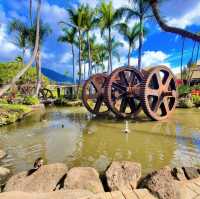 Maui, Hawaii: Paradise in the Pacific