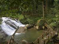 Bukit Hijau Recreational Forest