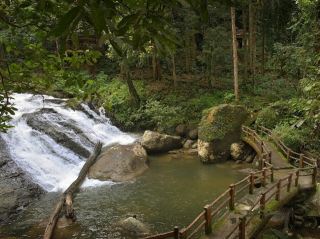 Bukit Hijau Recreational Forest