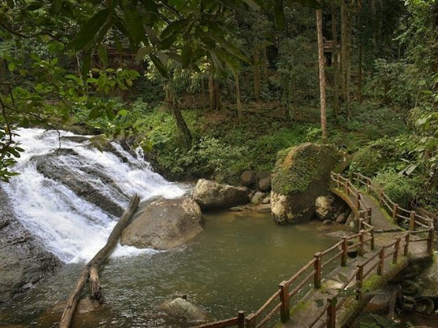 Bukit Hijau Recreational Forest