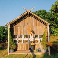 ‘ Campiness Camping & Farmsook  ’ 🏕️🪵