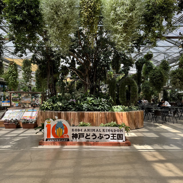 🌿🌺🦜 Dive into the Marvels of Kobe Animal Kingdom! 🐾🌟