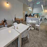 ร้าน WHITE CACTUS คาเฟ่บรรยากาศดี