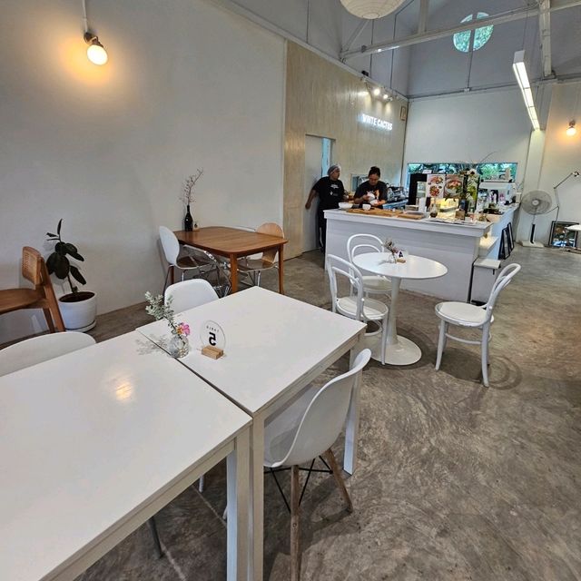 ร้าน WHITE CACTUS คาเฟ่บรรยากาศดี
