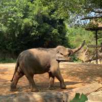 多摩動物公園～親子遊好地方