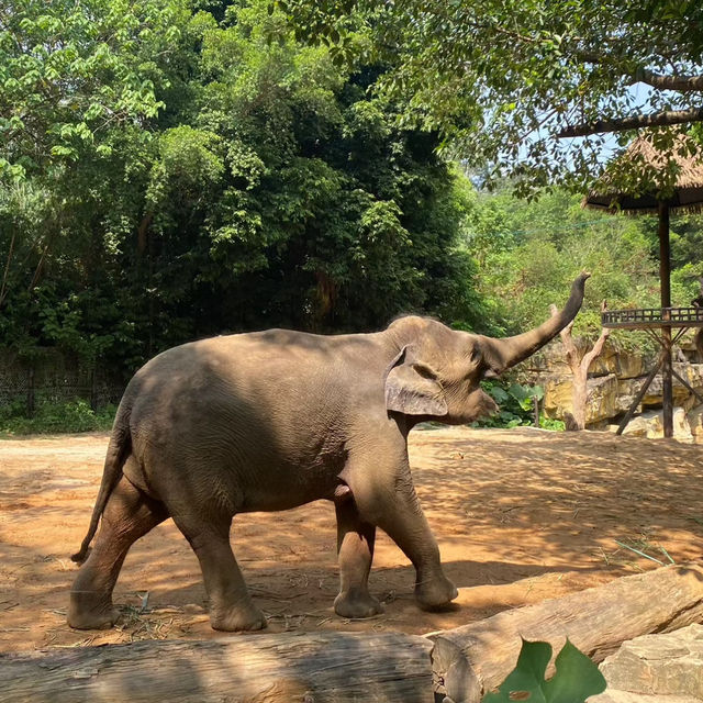 多摩動物公園～親子遊好地方