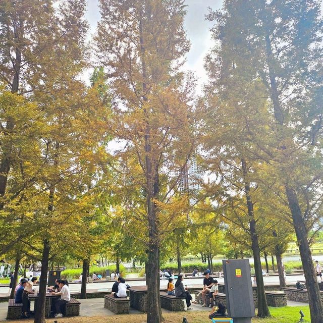 가을로 물드는 동탄호수공원