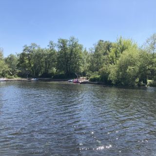 Germany's Berlin Duck Boat