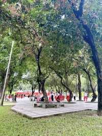 Greenery Shenzhen Zhongshan Park 
